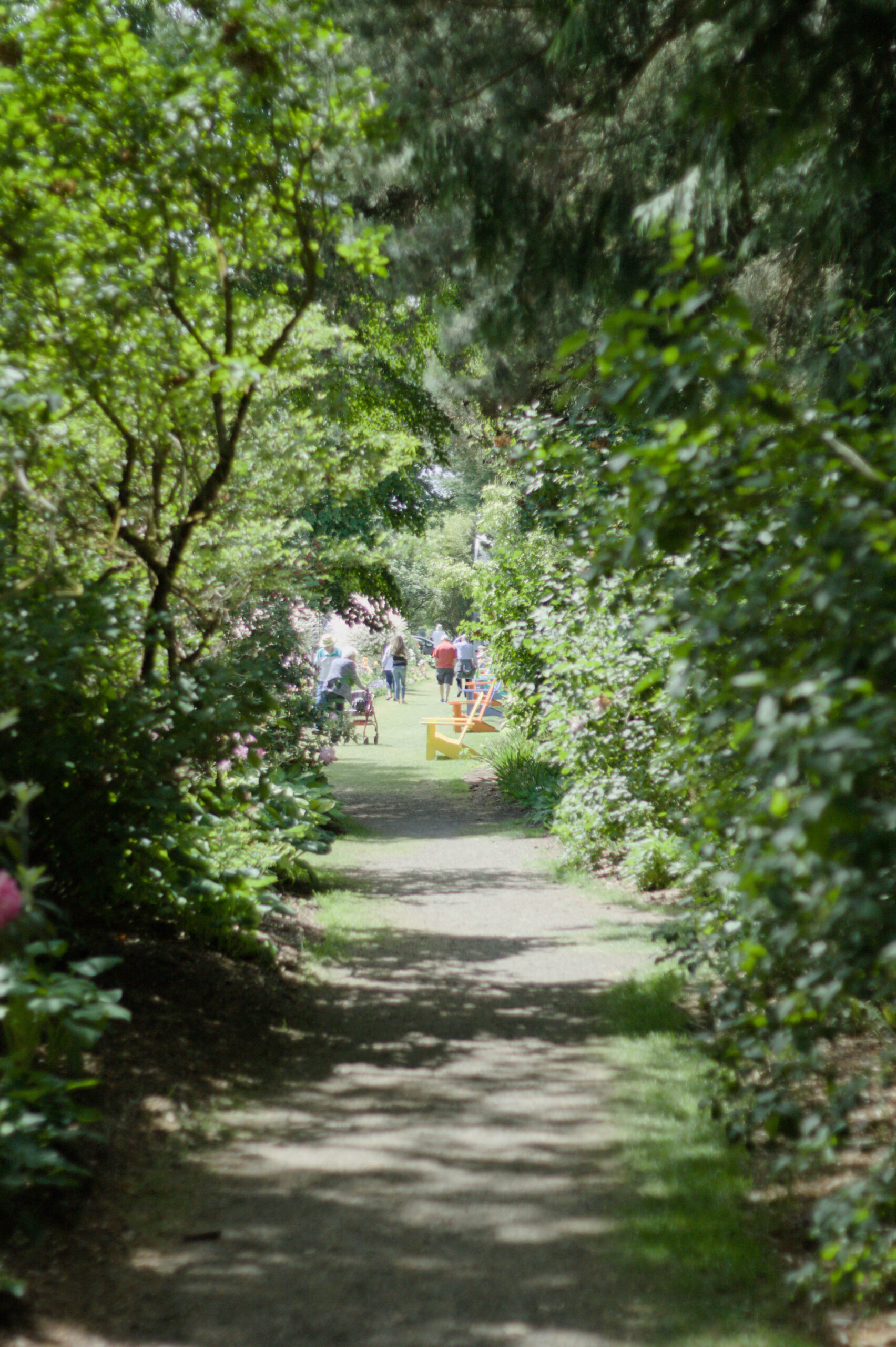Homewoods shared spaces and grounds